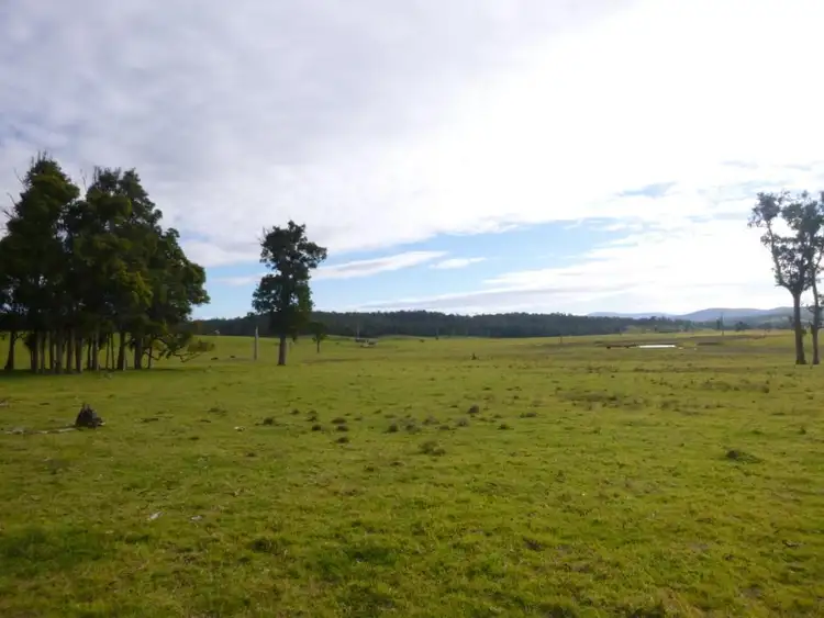 Seventh view of Homely land listing, 142 Wallagoot Lane, Wallagoot NSW 2550