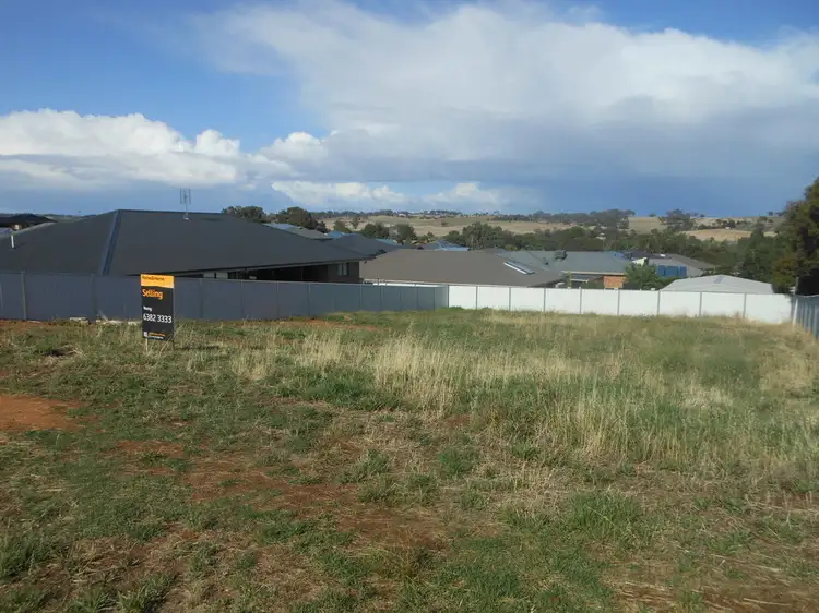 51 Back Creek Road, Young NSW 2594