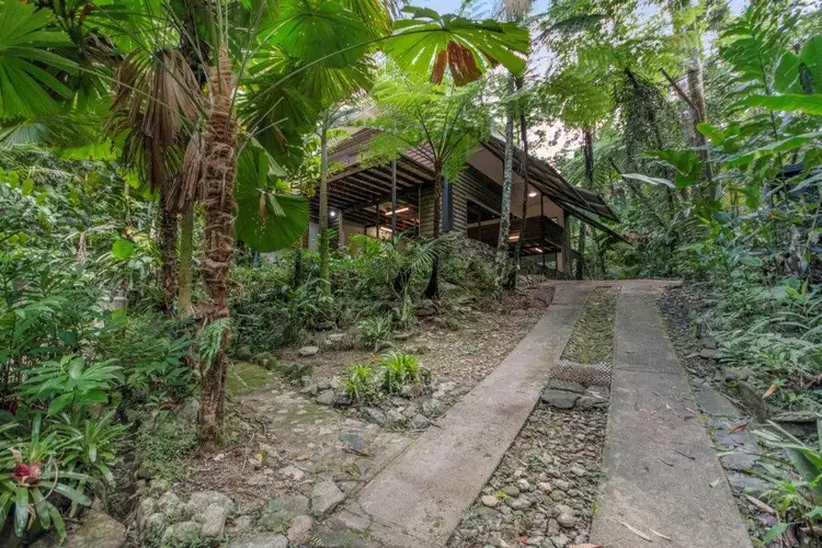 71 Candlenut Road, Daintree QLD 4873