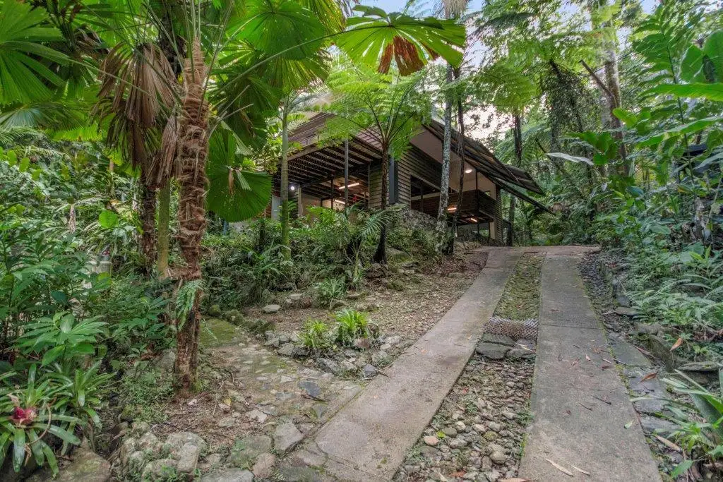 Main view of Homely house listing, 71 Candlenut Road, Daintree QLD 4873