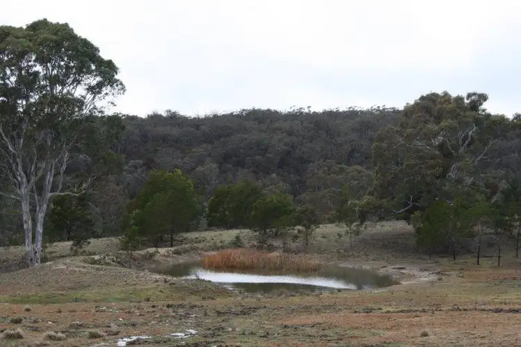 Fifth view of Homely rural property listing, 840 Kooringaroo Rd, Goulburn NSW 2580