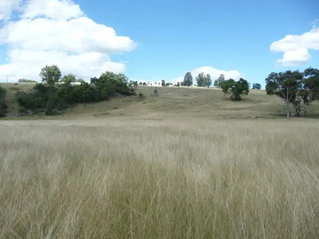 Seventh view of Homely rural property listing, 2782 SILENT GROVE ROAD, Tenterfield NSW 2372