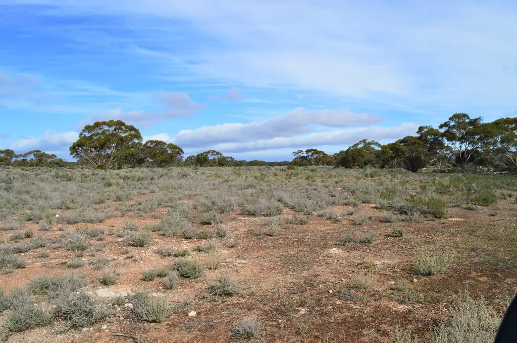 Main view of Homely rural property listing, - Section 273, Hundred of Anna, Blanchetown SA 5357