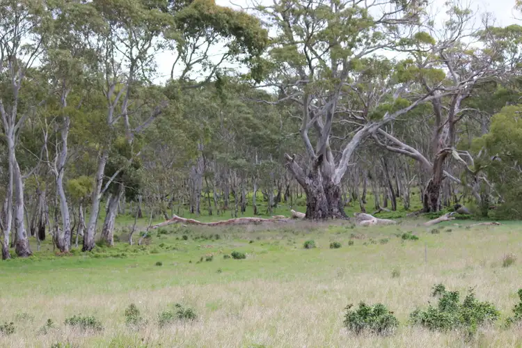 Second view of Homely land listing, Lot 107 Wallace Court, Coulta SA 5607