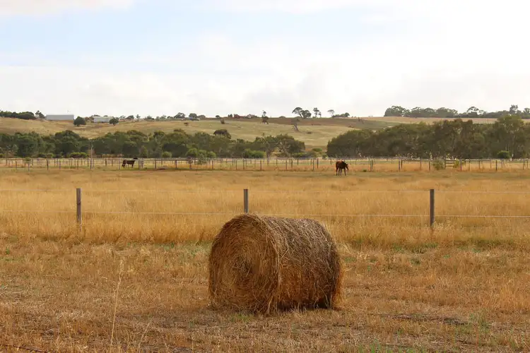 Seventh view of Homely rural property listing, A10 Lines Road, Strathalbyn SA 5255