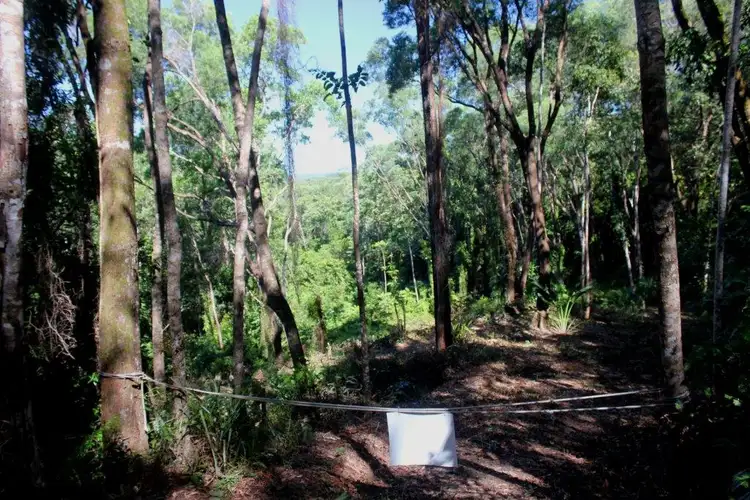 Fourth view of Homely land listing, Lot 38 Ronald Road FOREST CREEK, Daintree QLD 4873