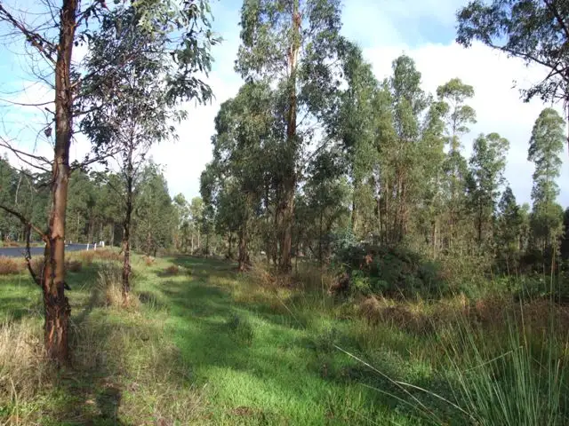 Third view of Homely rural property listing, Lot 40 WOYLIE ROAD, Northcliffe WA 6262