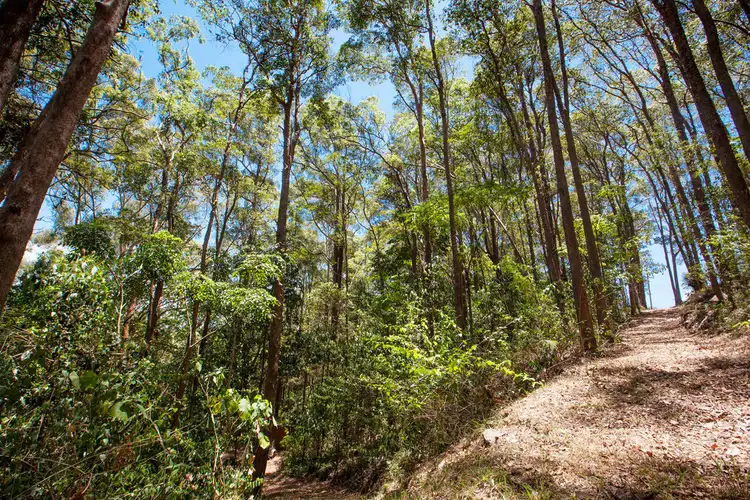 Sixth view of Homely land listing, 204 Upper Rosemount Road, Rosemount QLD 4560