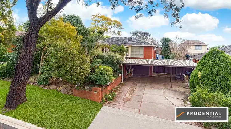 17 Randolph Street, Campbelltown NSW 2560