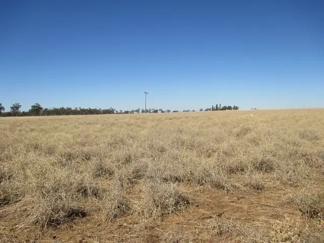 Third view of Homely rural property listing, Lot 44-46 BINDANGO ROAD, Hodgson QLD 4455