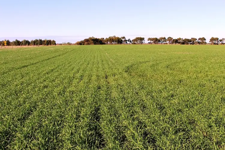 Third view of Homely rural property listing, 224 Burnlea Road, Langhorne Creek SA 5255