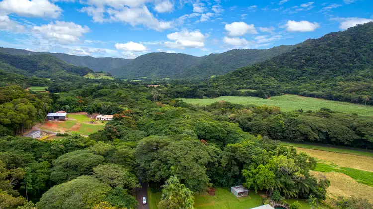 Fourth view of Homely house listing, 235 Mowbray River Road, Mowbray QLD 4877