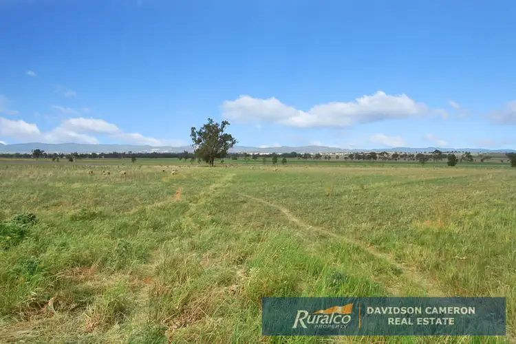 Sixth view of Homely rural property listing, Canberra 982 Warral Bithramere Road, Tamworth NSW 2340