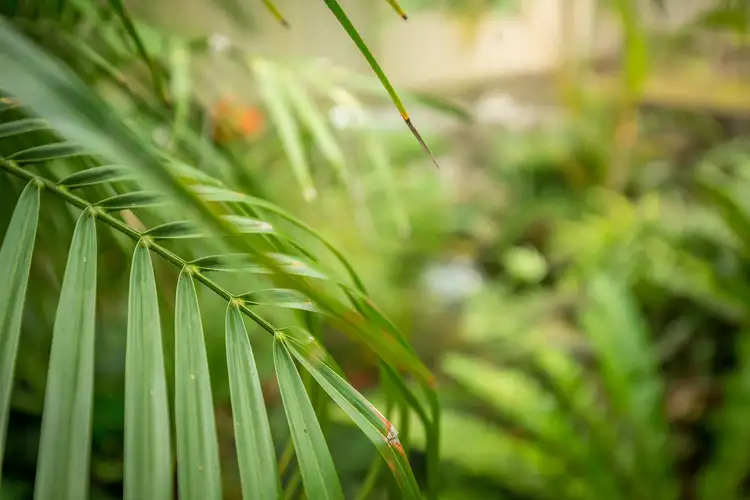 Seventh view of Homely house listing, 35 Timberi Avenue, Dapto NSW 2530