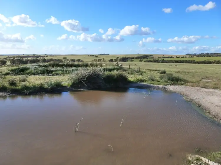 Sixth view of Homely rural property listing, 2252 Northam-Pithara Rd, Goomalling WA 6460