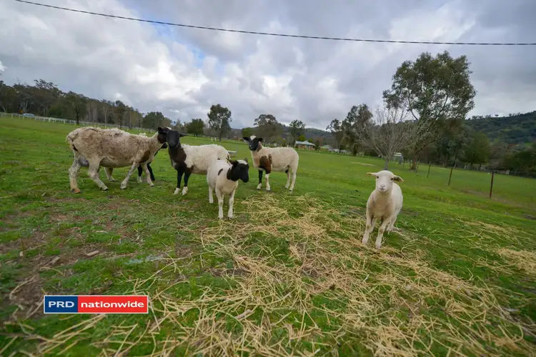 Second view of Homely house listing, 921 Daruka Road, Tamworth NSW 2340