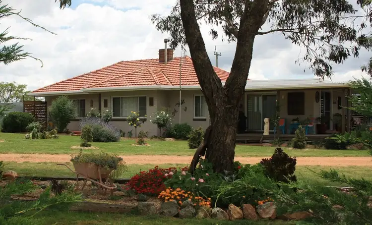 1024 Geegullalong Road, Young NSW 2594