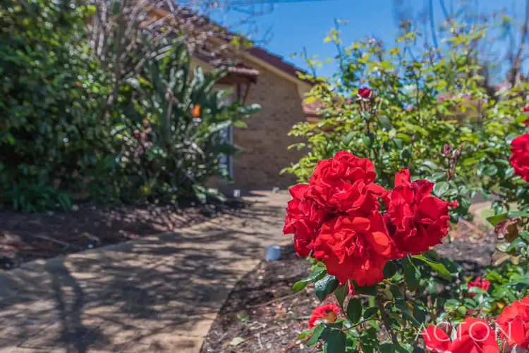 66 Broadhurst Crescent, Bateman WA 6150
