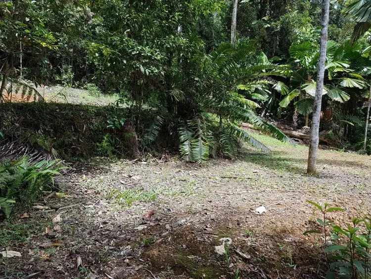 Fourth view of Homely land listing, 385 Maple Road, Daintree QLD 4873