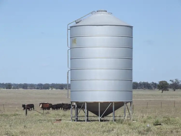 Sixth view of Homely rural property listing, 3261 The McGrane Way, Tullamore NSW 2874