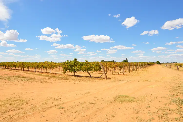 Second view of Homely land listing, Blk 169 Fifth Street, Merbein VIC 3505
