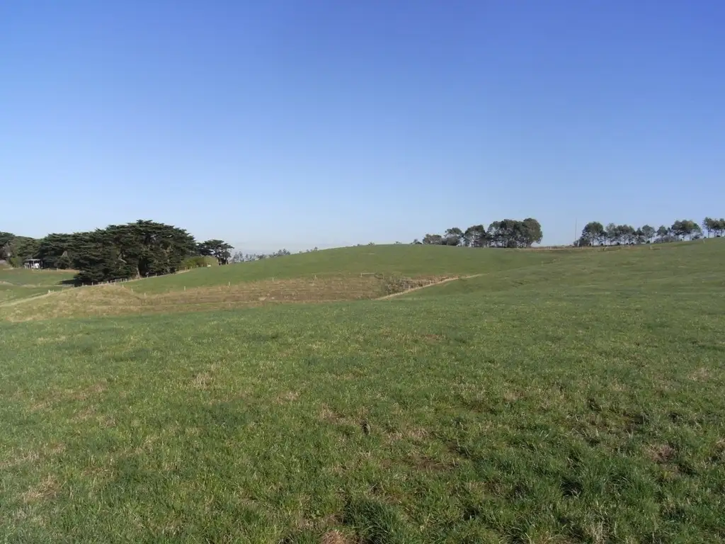 Main view of Homely rural property listing, 1214 Bena-Kongwak Road, Kongwak VIC 3951