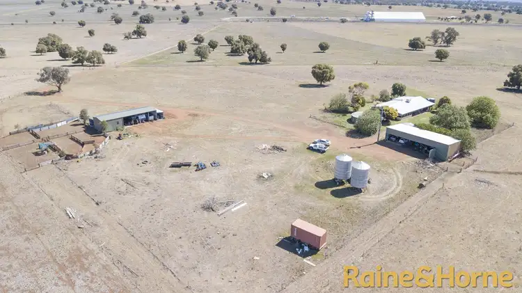 229 Combo Road, Geurie NSW 2818