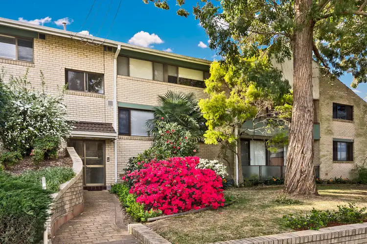 Main view of Homely unit listing, 6/13-17 Clanwilliam Street, Willoughby NSW 2068