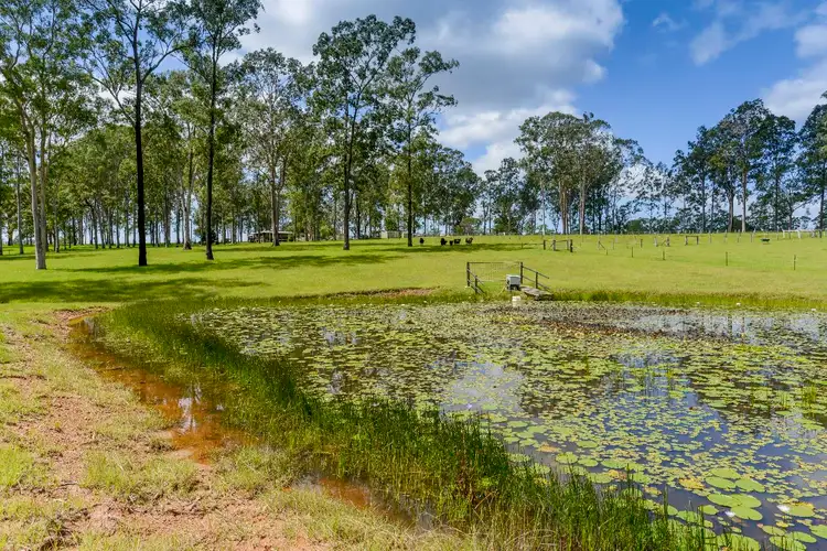 Main view of Homely rural property listing, 3516 Orara Way, Kungala NSW 2460