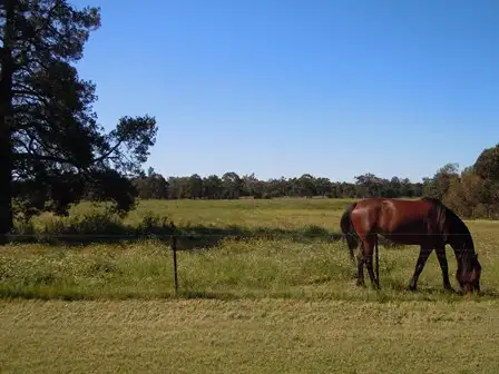 Fourth view of Homely land listing, Lot 23, 111 Pine Hill Road, Narrandera NSW 2700