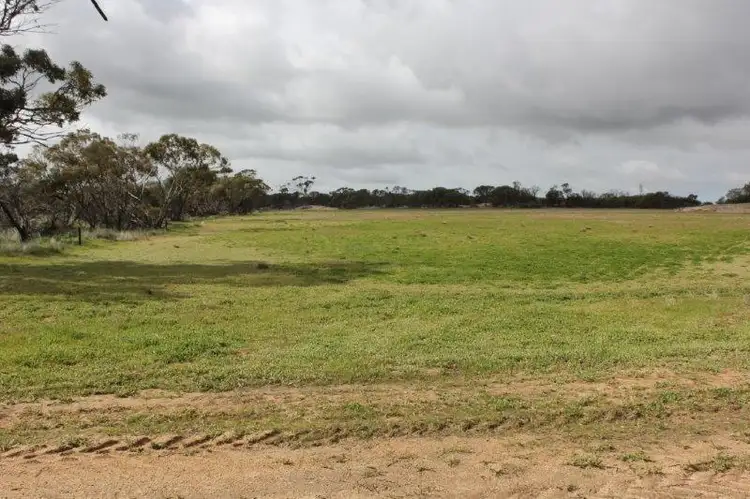 Fifth view of Homely house listing, Lot 50 Chandler-Merredin Road, Merredin WA 6415