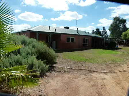 Main view of Homely house listing, 801 Dandaragan road, Dandaragan WA 6507