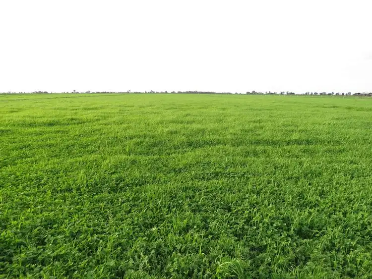 Second view of Homely rural property listing, "Sandhills" Upper Tocumwal Road, Tocumwal NSW 2714