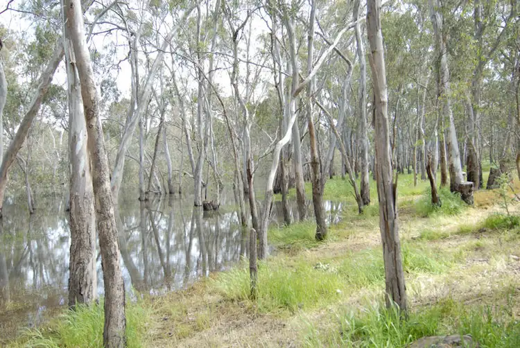 Third view of Homely rural property listing, 63 WILLS DRIVE, Deniliquin NSW 2710