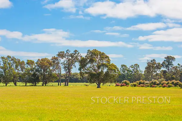 Seventh view of Homely rural property listing, 47 Norman Murdoch Rd, Metricup WA 6280