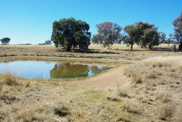 Seventh view of Homely rural property listing, 23 TOLGA WAY, Mumbil NSW 2820