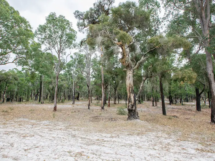 Sixth view of Homely rural property listing, Lot 14 Reaper Road, Cardiff WA 6225