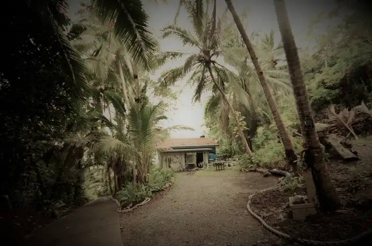 Fifth view of Homely house listing, 1291 Mossman-Daintree Road, Rocky Point QLD 4873
