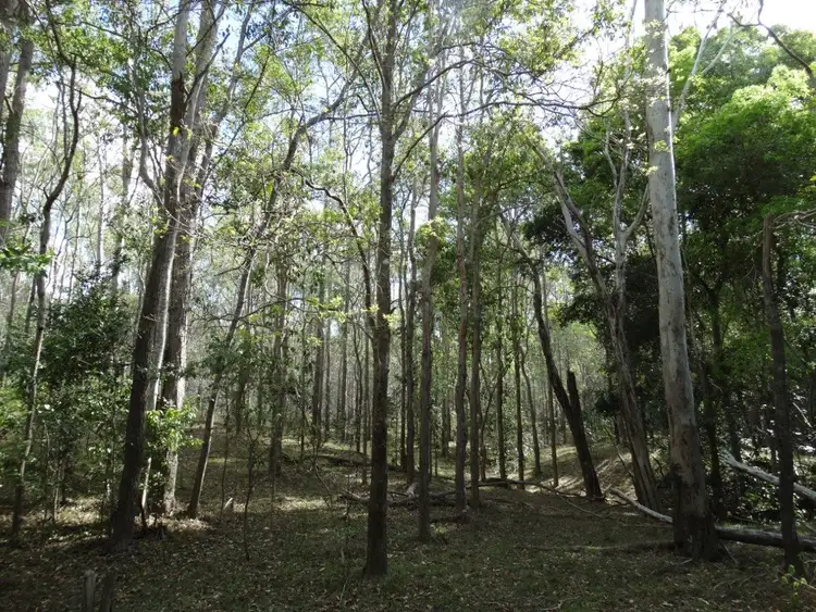 Fifth view of Homely rural property listing, Lot 101 Mollenhagens Road, Rosedale QLD 4674