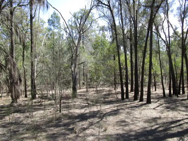 Third view of Homely rural property listing, LOT 19 BILLABONG LANE, Tara QLD 4421