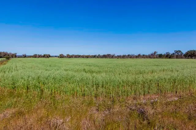 Fifth view of Homely rural property listing, Lot 1634/2010 Nolan Rd, Muchea WA 6501