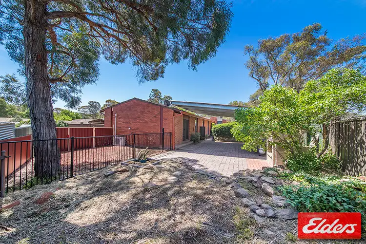 Sixth view of Homely house listing, 36 McDougall Street, Charnwood ACT 2615