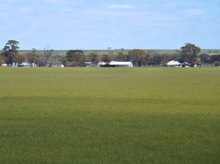 Seventh view of Homely rural property listing, 2872 Mollerin Rock South Rd, Lake Margarette WA 6475