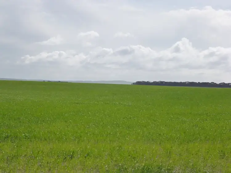 Fifth view of Homely rural property listing, Sect 519 Flagstaff Rd, Murray Bridge SA 5253