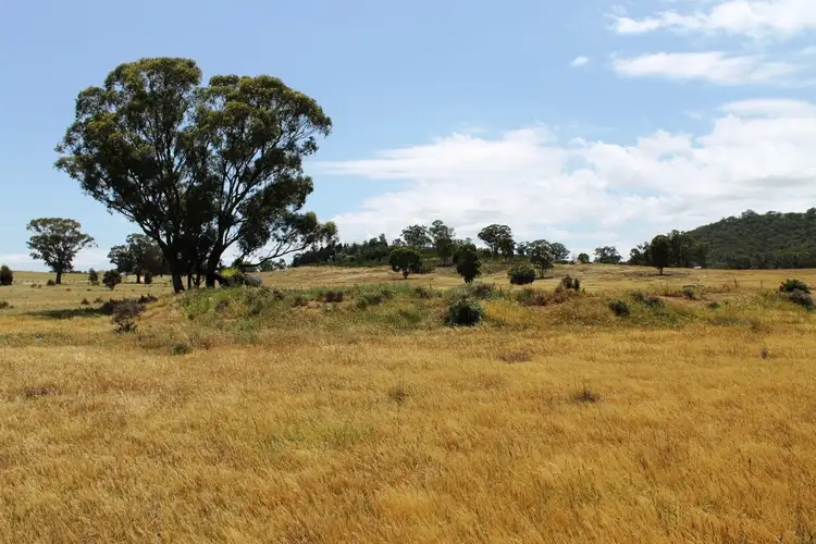 Seventh view of Homely rural property listing, 1640 Goolma Road, Gulgong NSW 2852