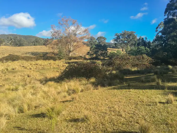 Sixth view of Homely rural property listing, 1567 Campbells Creek Road, Mudgee NSW 2850