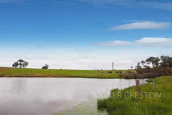 Sixth view of Homely rural property listing, L2902 Jindong Treeton Road, Rosa Brook WA 6285