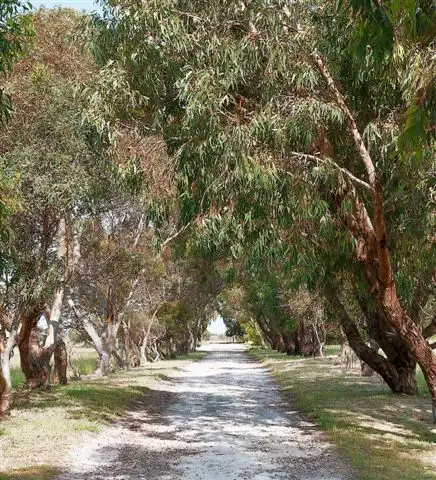 Second view of Homely rural property listing, 273 Smith's Lane, Kingston Se SA 5275