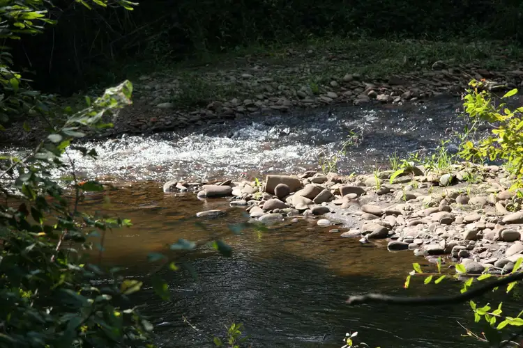 Fifth view of Homely rural property listing, Address available on request