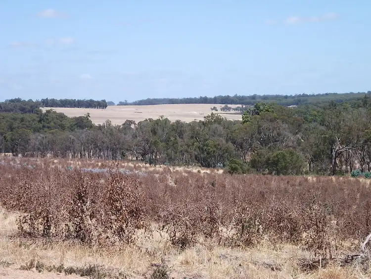 Lot 8789 Jayes Road, Boyup Brook WA 6244